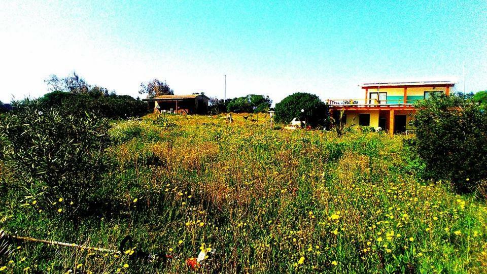 Eco Affittacamere Casa Maica Eco Guesthouse Стинтино Екстериор снимка